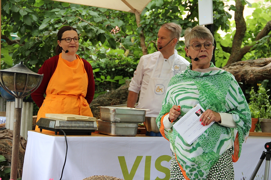 Almedalen2019-134