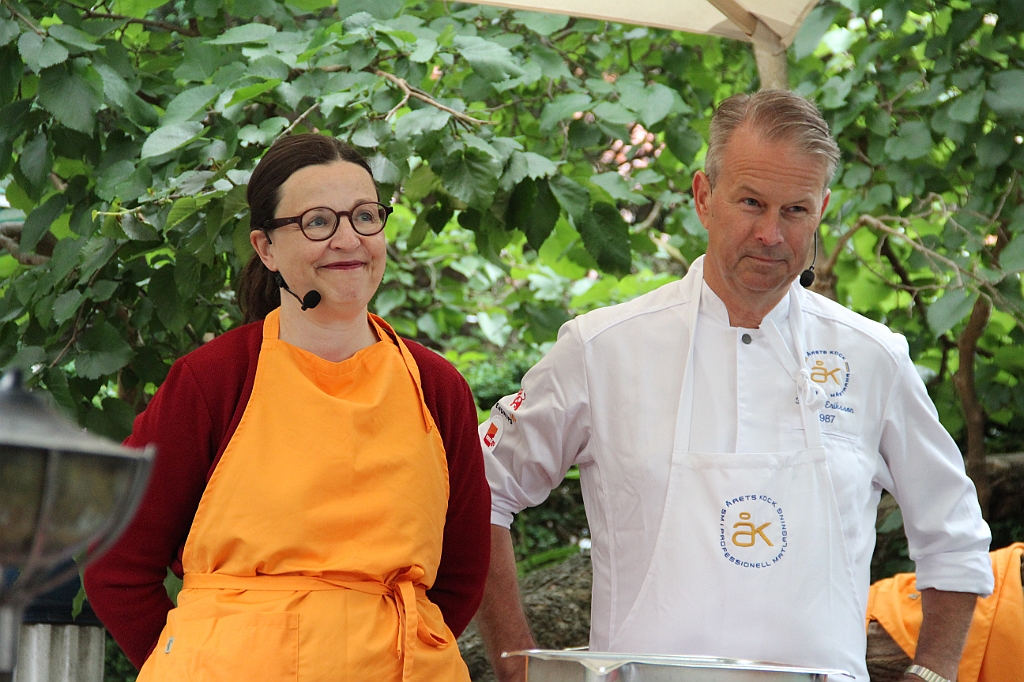 Almedalen2019-135