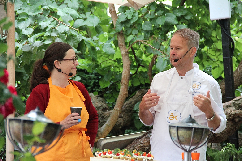 Almedalen2019-144