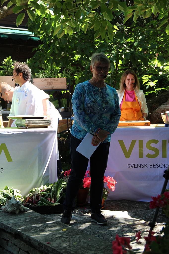 Almedalen2019-281