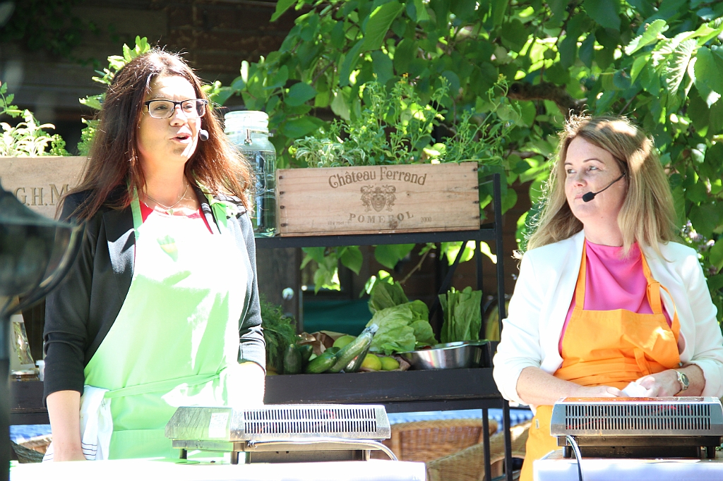 Almedalen2019-285