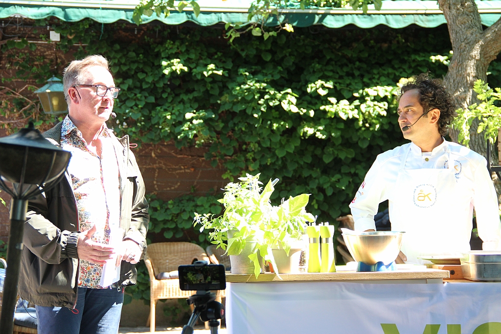 Almedalen2019-289