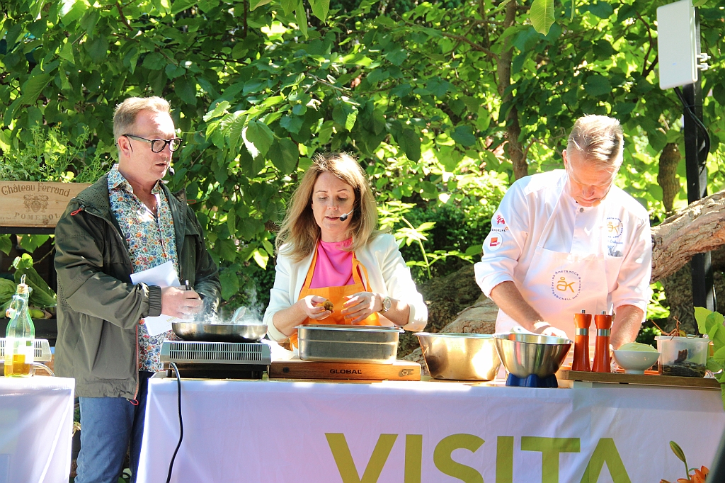 Almedalen2019-294