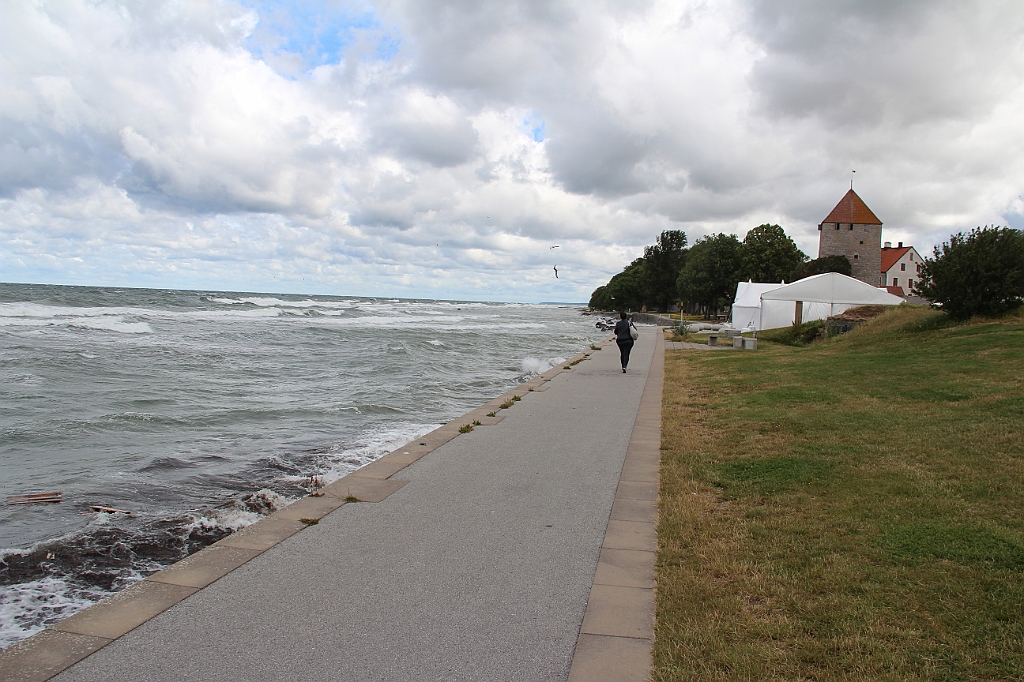 Almedalen2019-457