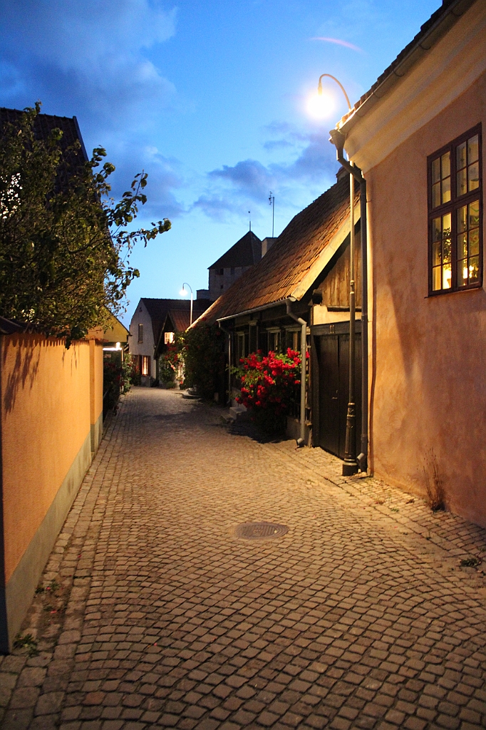 Almedalen2019-563