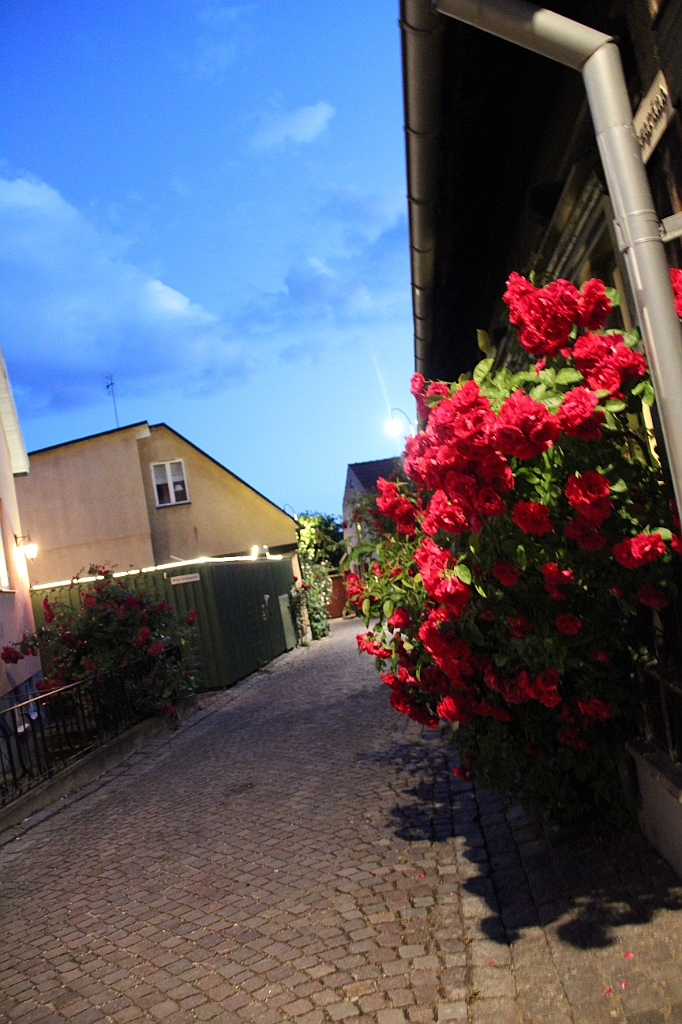 Almedalen2019-564