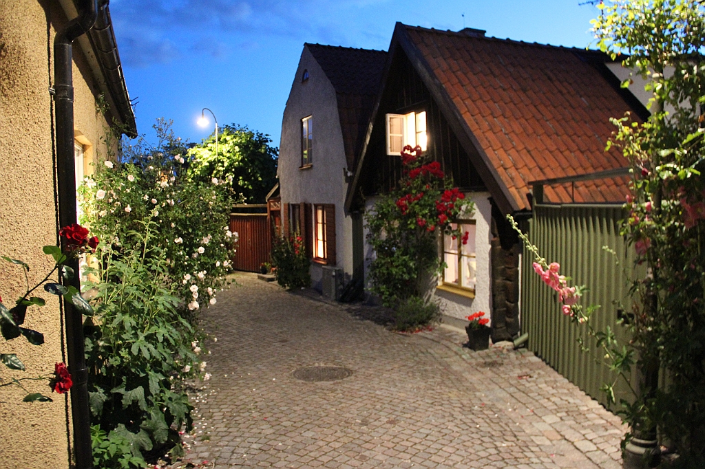 Almedalen2019-565