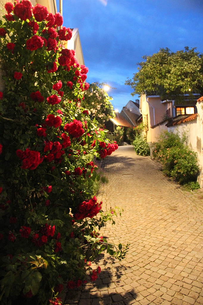 Almedalen2019-566