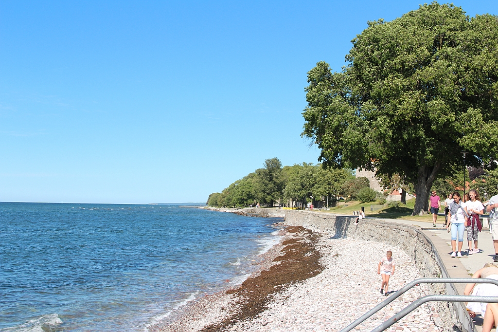 Almedalen2019-592