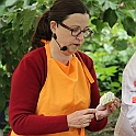 Almedalen2019-139