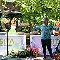 Almedalen2019-286