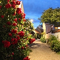 Almedalen2019-566