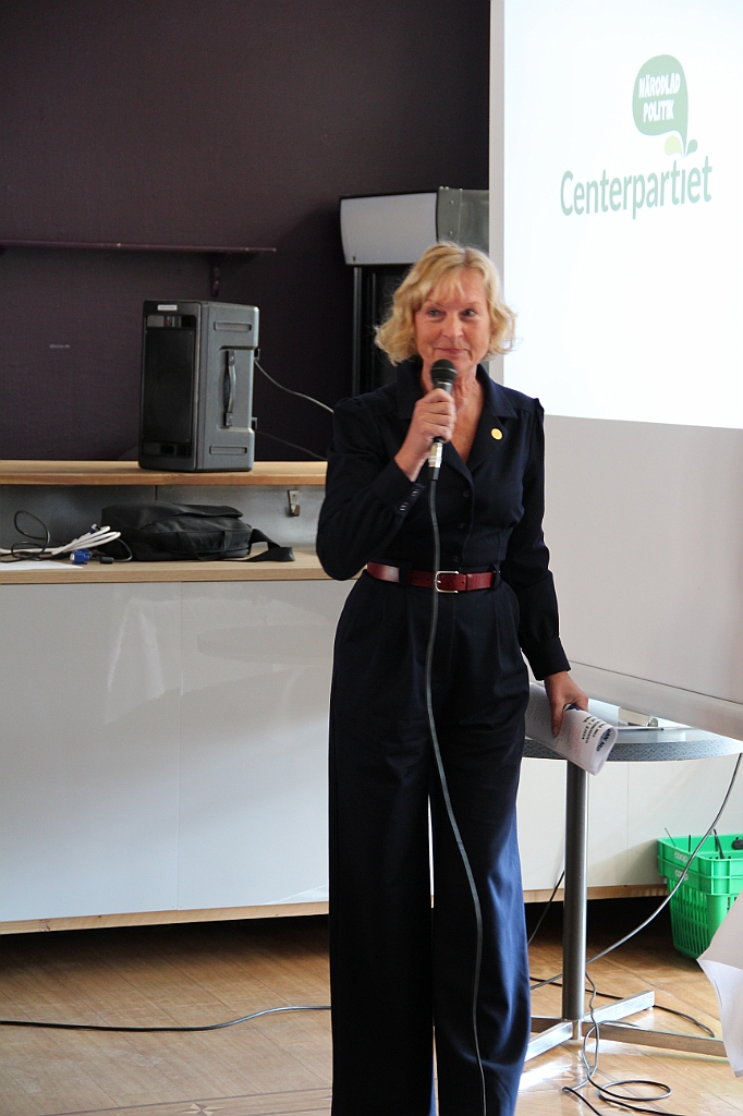 Distriktstamma2019-101