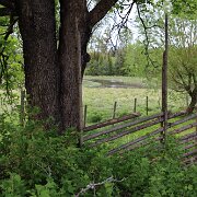 Langsryds-3