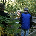 Blidingsholm2011-19