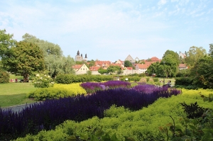 Almedalen 2014