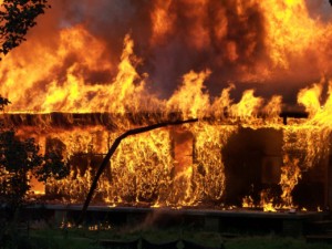Brand